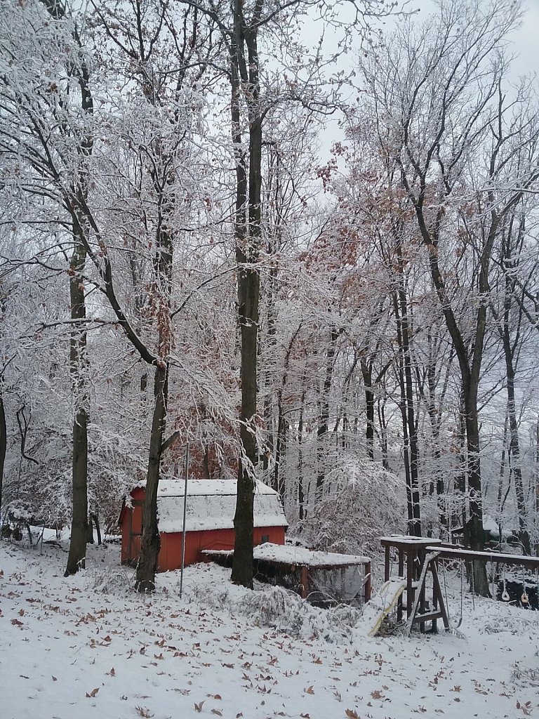 20161120-083947.jpg