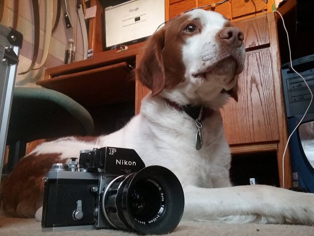 Camera Hound
