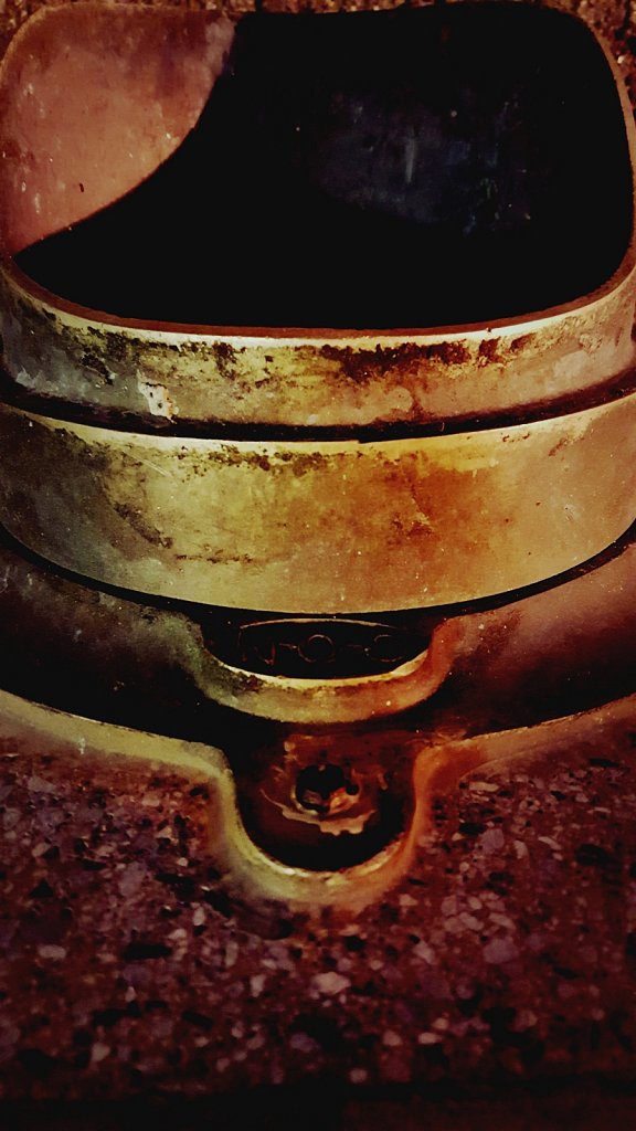 Project 365 - by Matt Gigli 