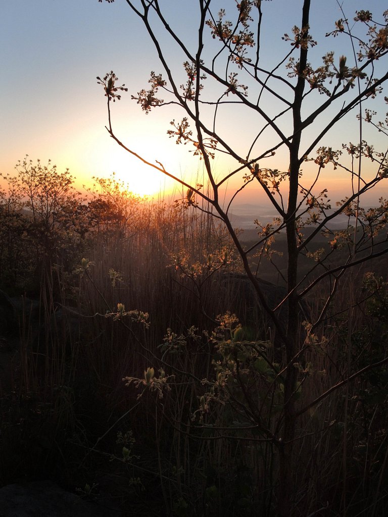 DSCN1811.JPG