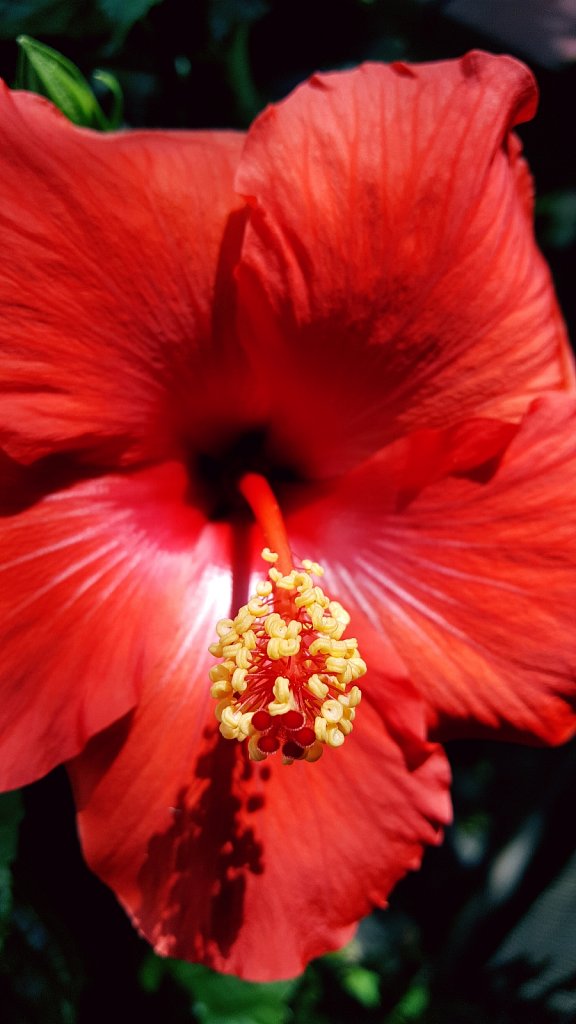 Project 365 - by Matt Gigli 