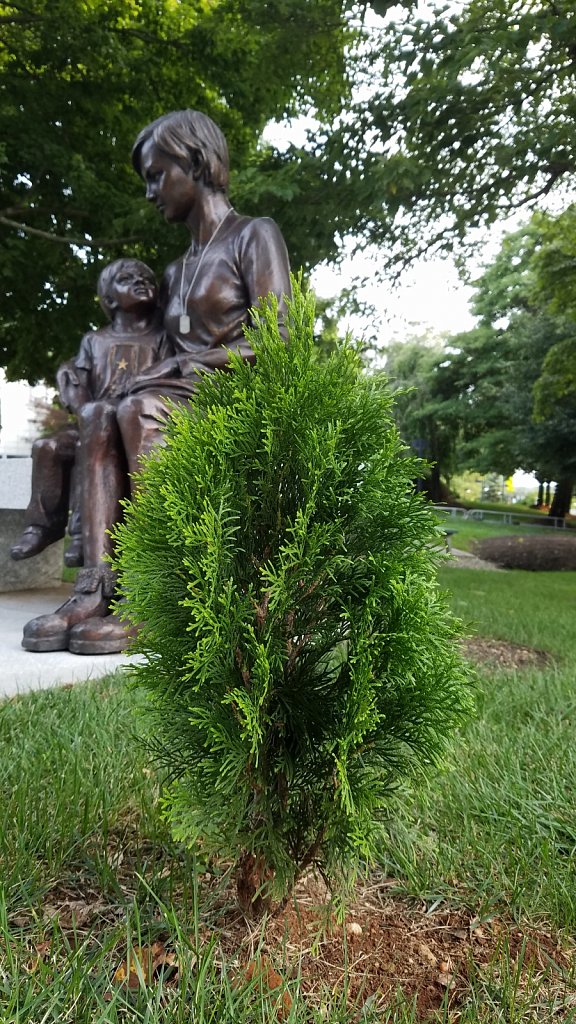 Shifted Perspective: Big People Little Tree 