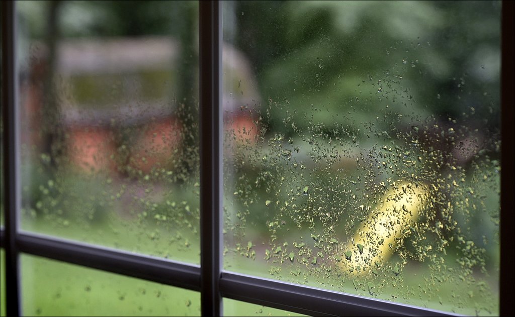 Windows in the Rain