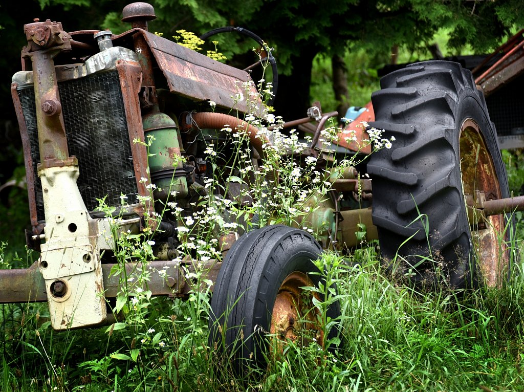 Tractor Bloom