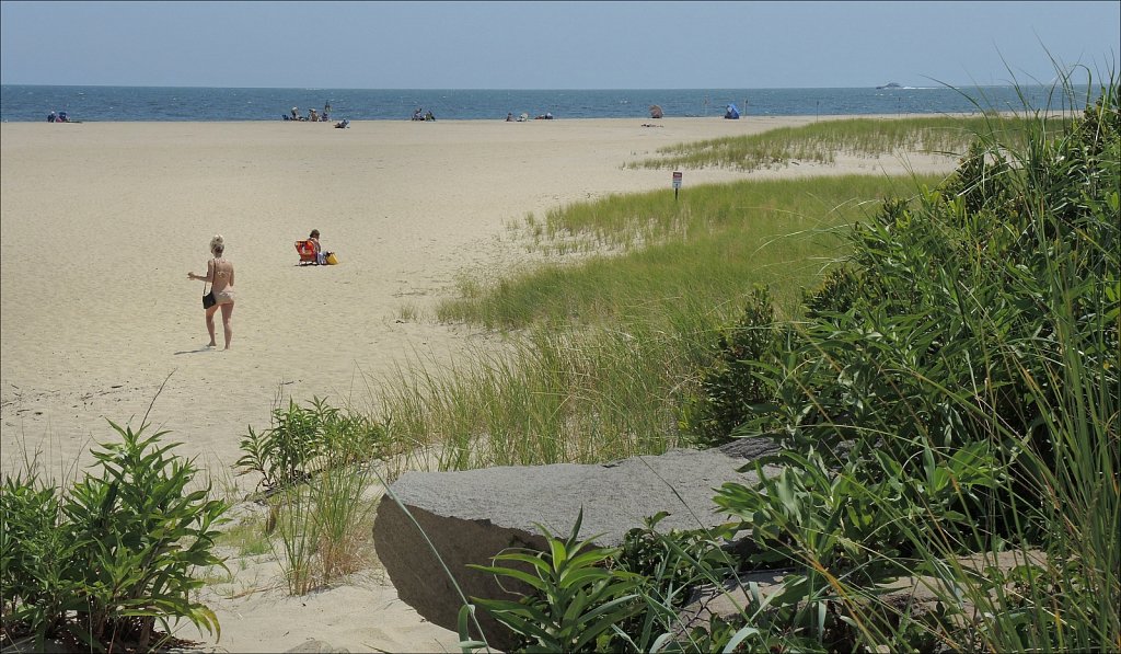 Dunes Meet Beach