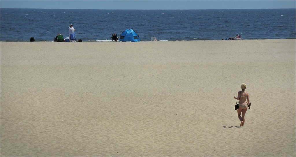 No Crowds