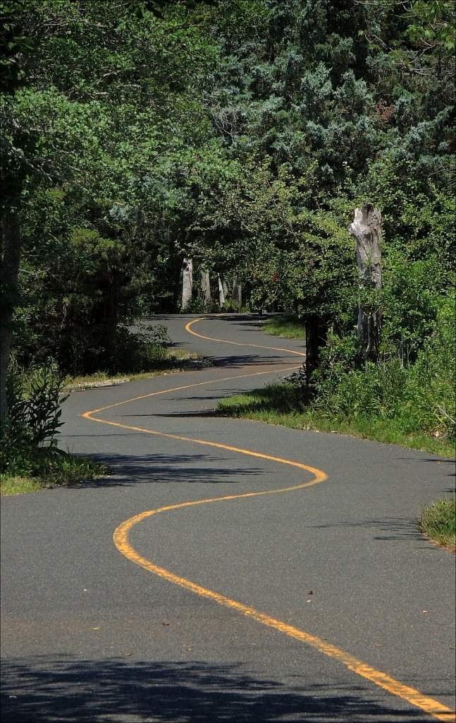 Empty Bike Path