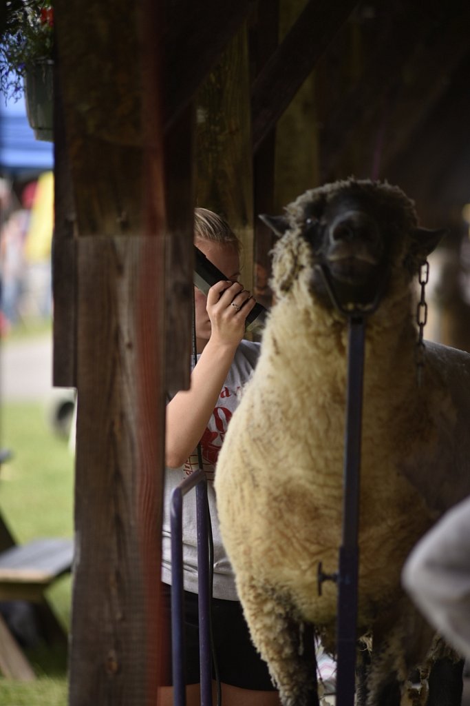 At The Fair