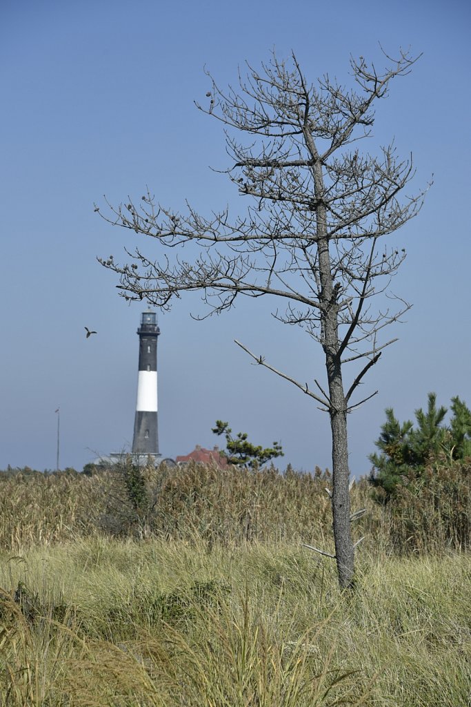 Fire Island Lighthouse