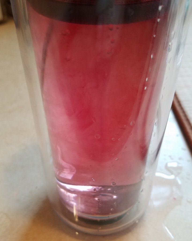 Project 365 + by Cheyenne Gigli