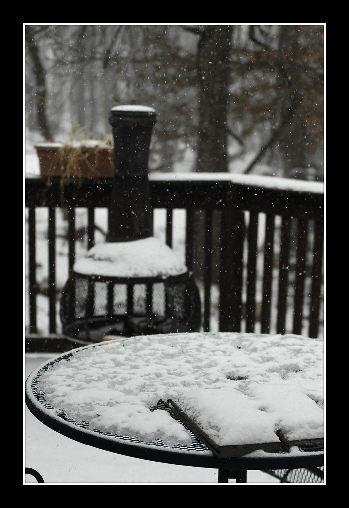 Project 365+ - By Joe Gigli