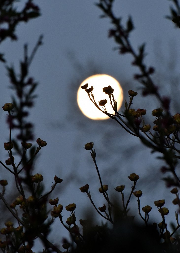 Project 365 by Rich Gigli