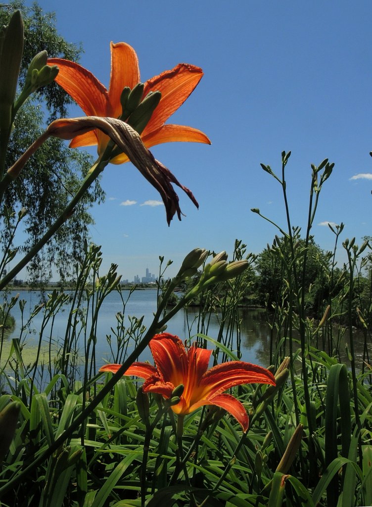 DSCN2107.JPG