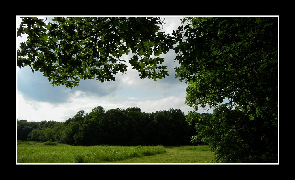 Mountain Farm Pond County Park