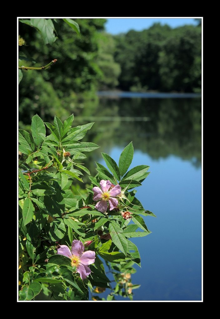 Morris Canal Saxton Falls