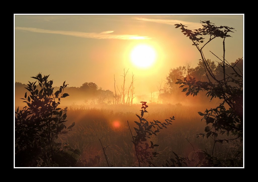 Black River Sunrise