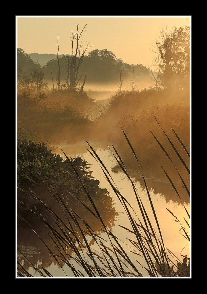 Black River Sunrise