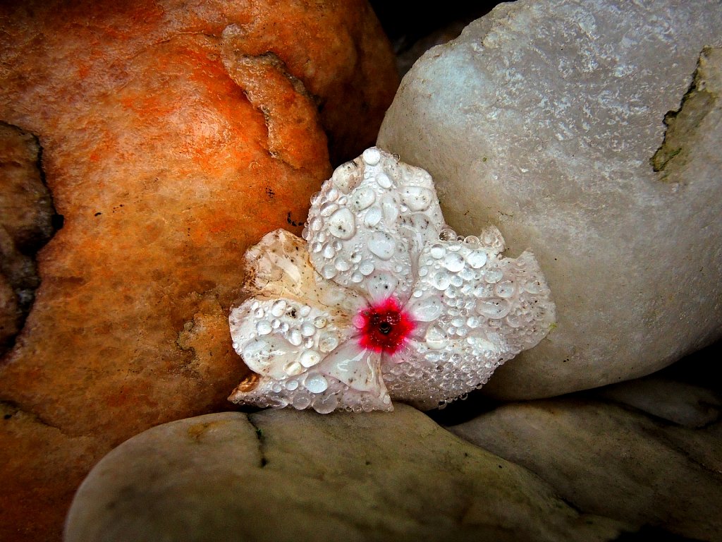 DSCN1230.JPG