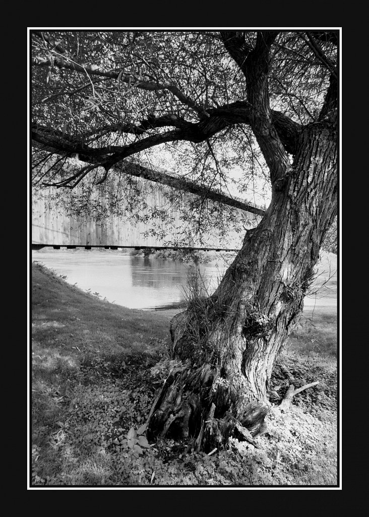 East Branch of the Delaware River