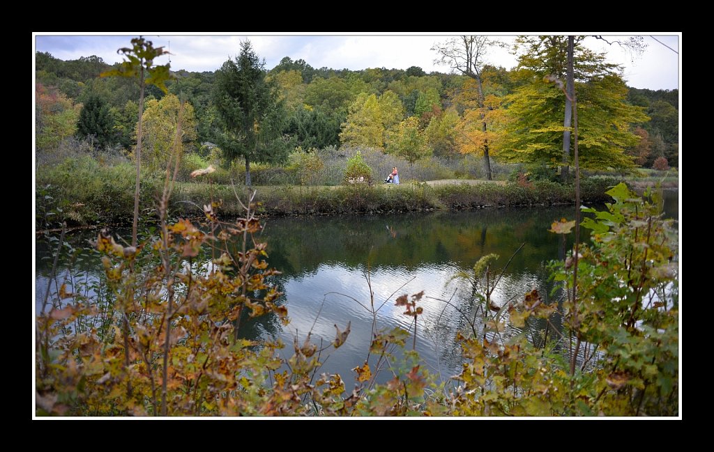 Hedden County Park