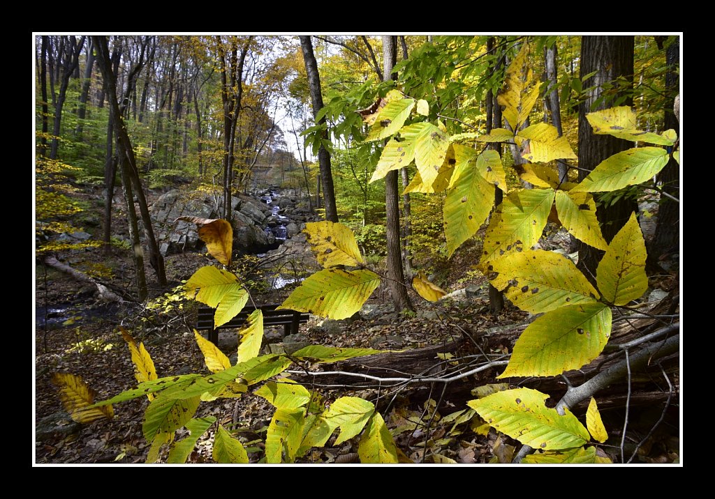 Schooley's Mountain Park