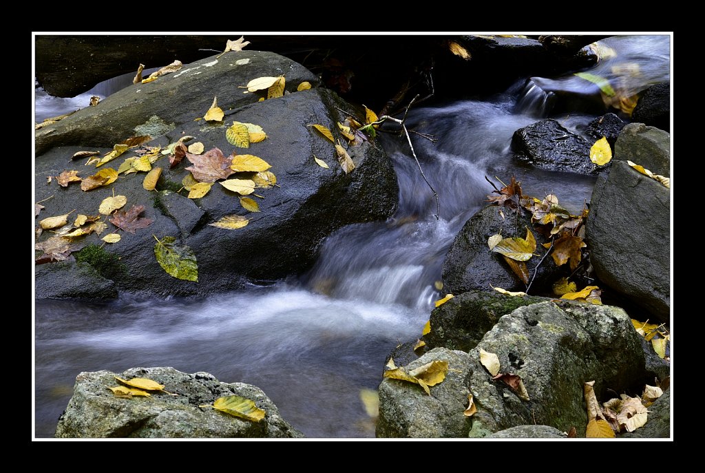 Schooley's Mountain Park