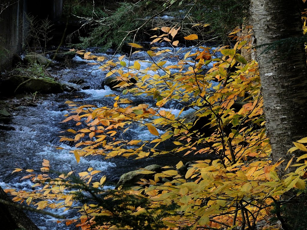 DSCN2471.JPG