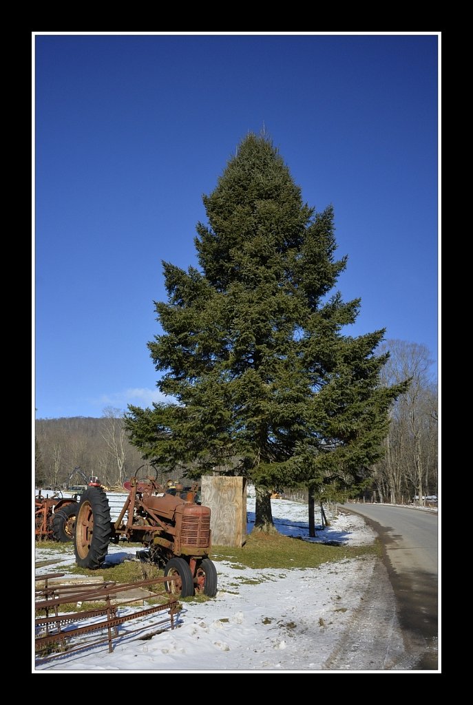 December In Upstate NY