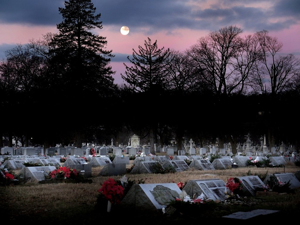 Moon Set Over Cemetary