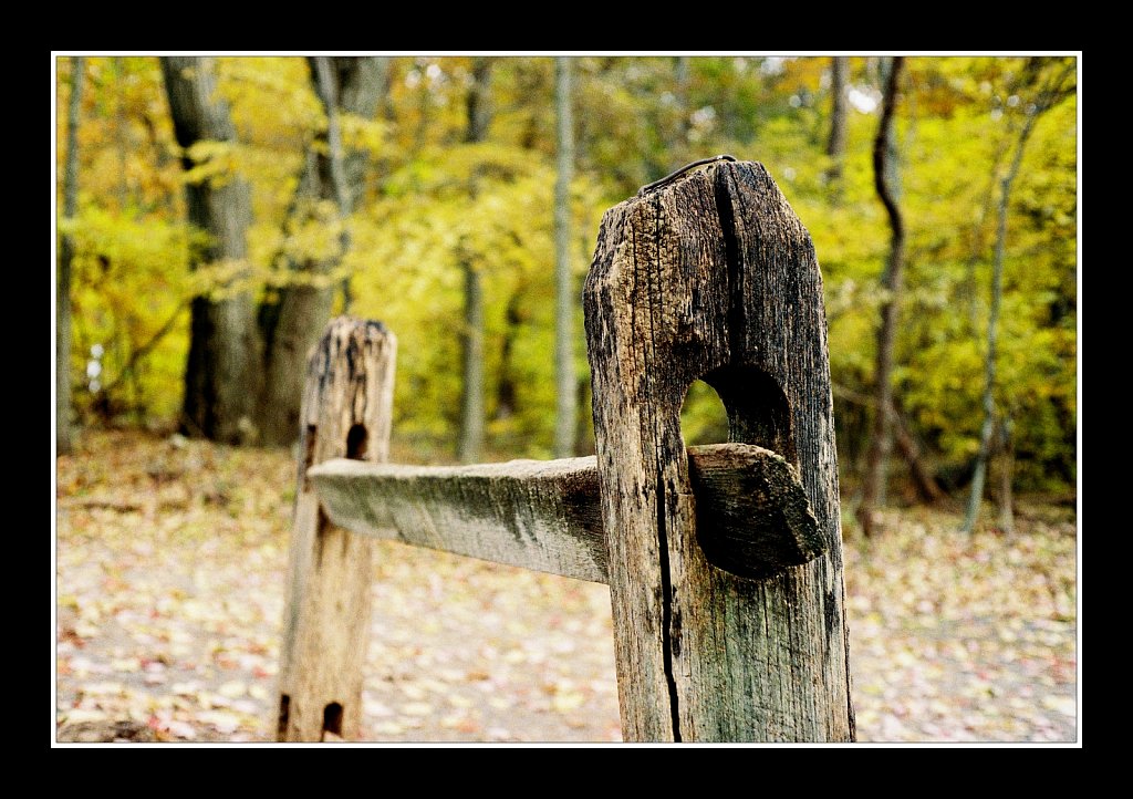 Schooley's Mountain Park