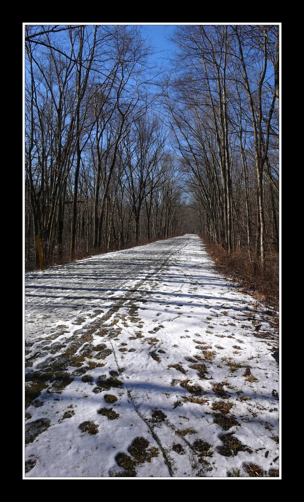 Columbia Trail