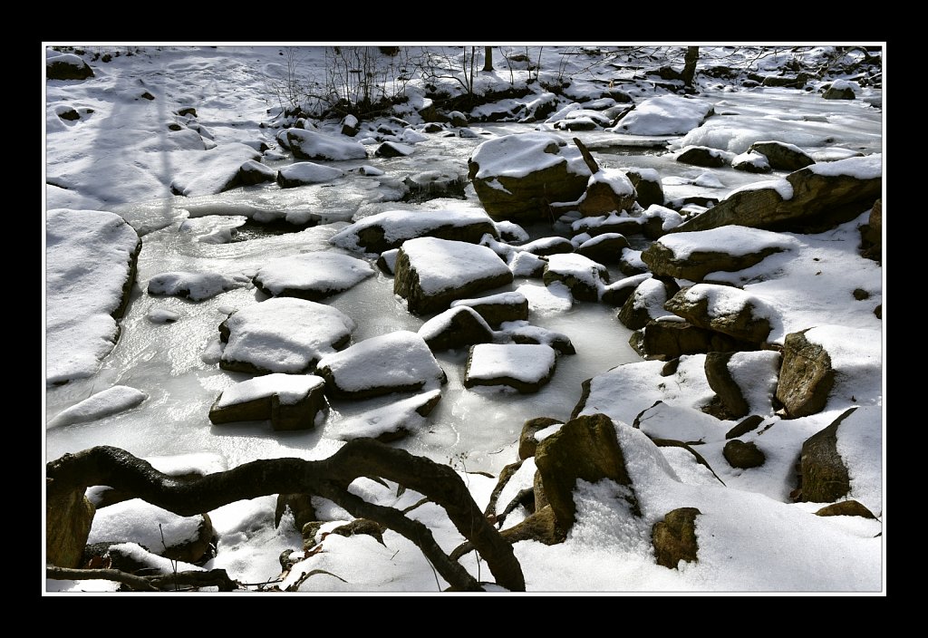 Jackson Brook