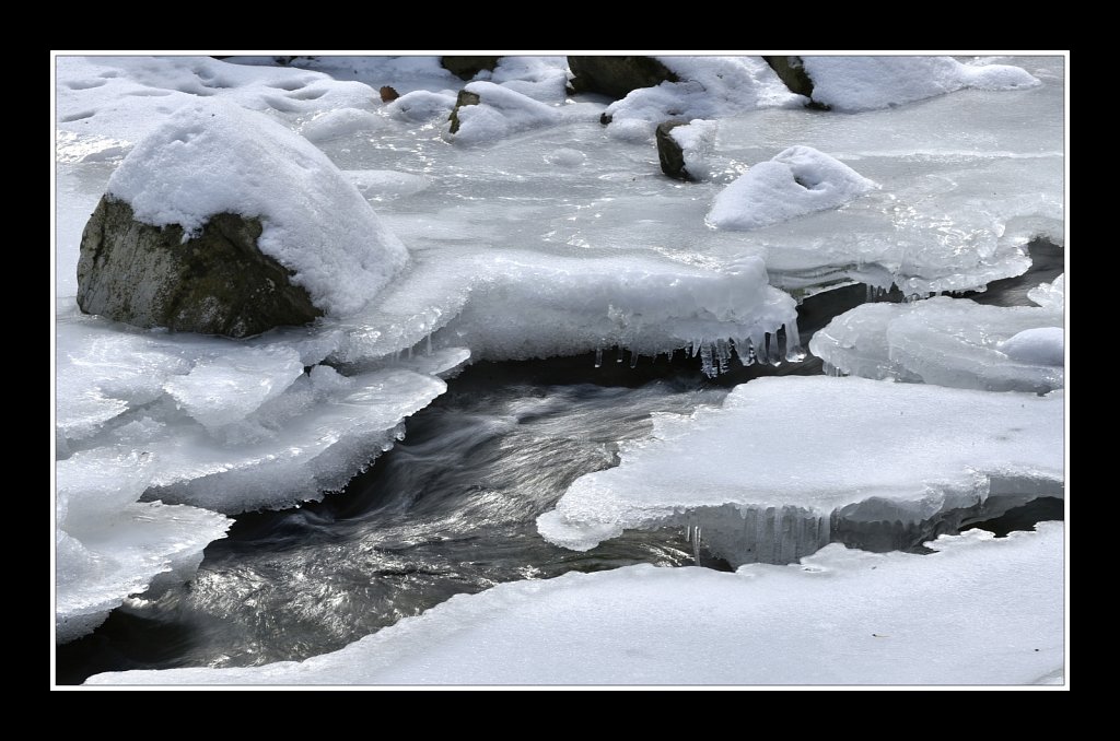 Jackson Brook