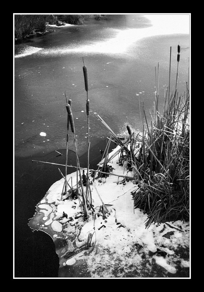 South Branch Raritan River