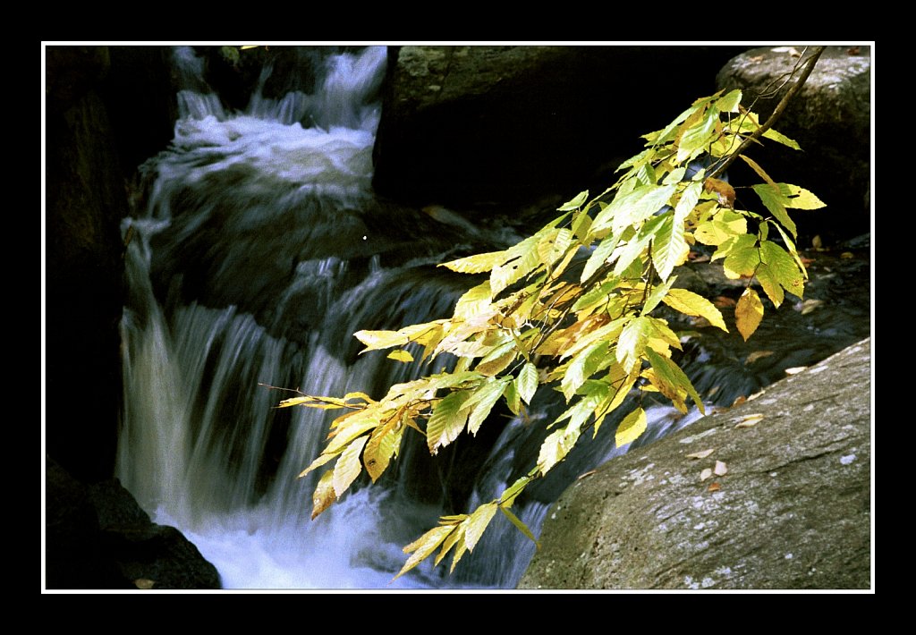 Schooley's Mountain Park