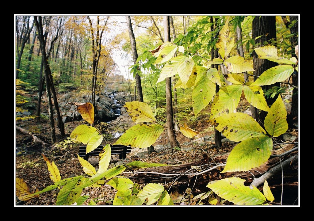 Schooley's Mountain Park