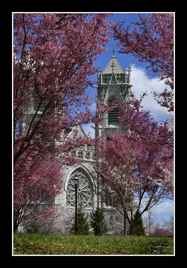 Sacred Heart Basilica 