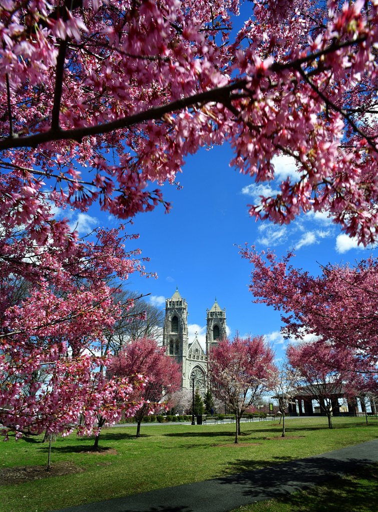 Sacred Heart Basilica