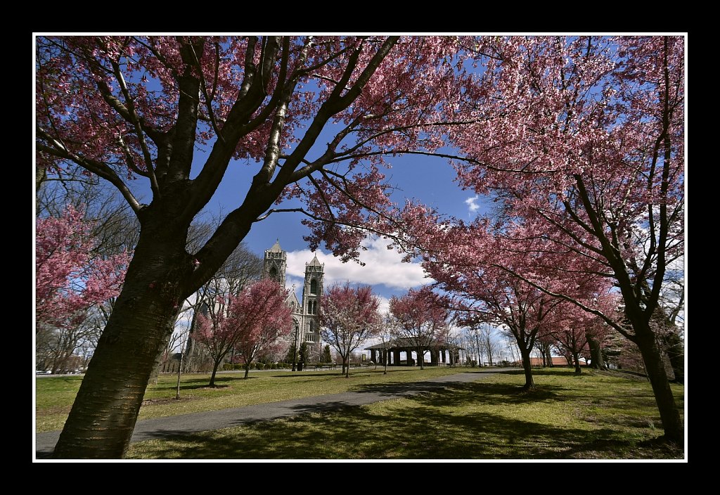 Branch Brook Park