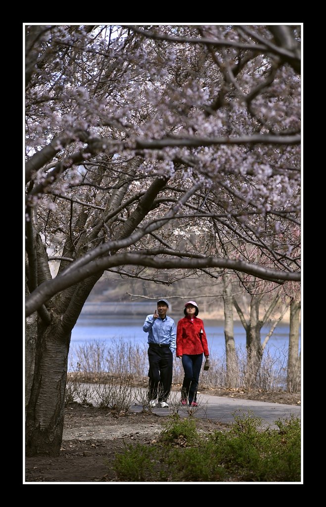 Branch Brook Park