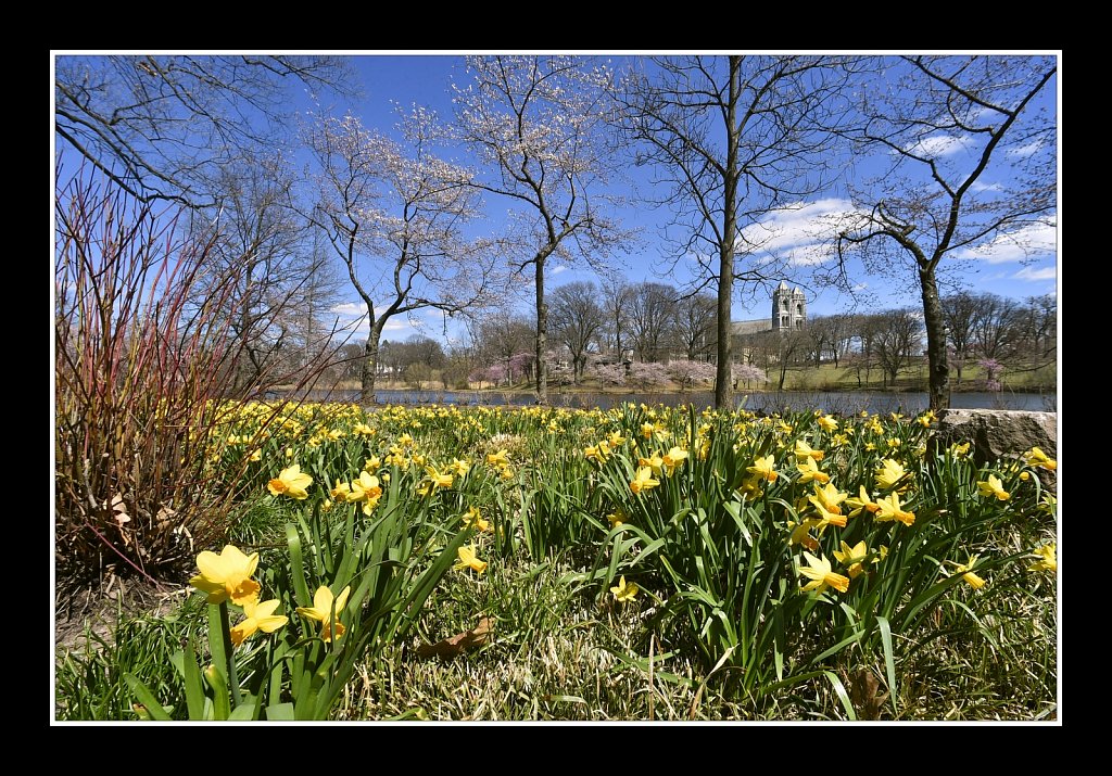 Branch Brook Park