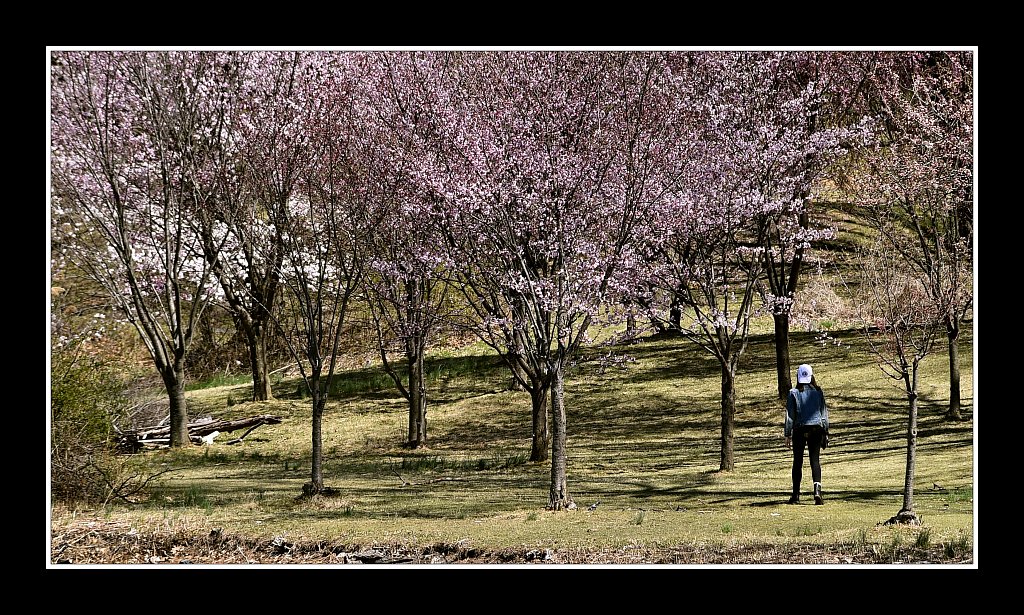 Branch Brook Park