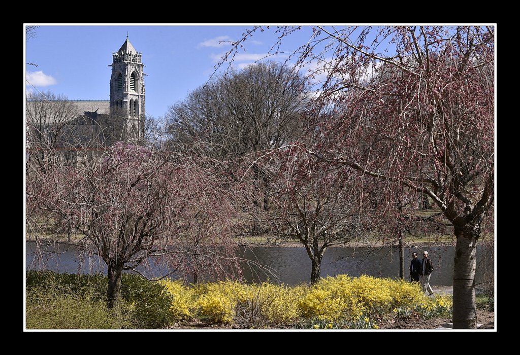 Branch Brook Park