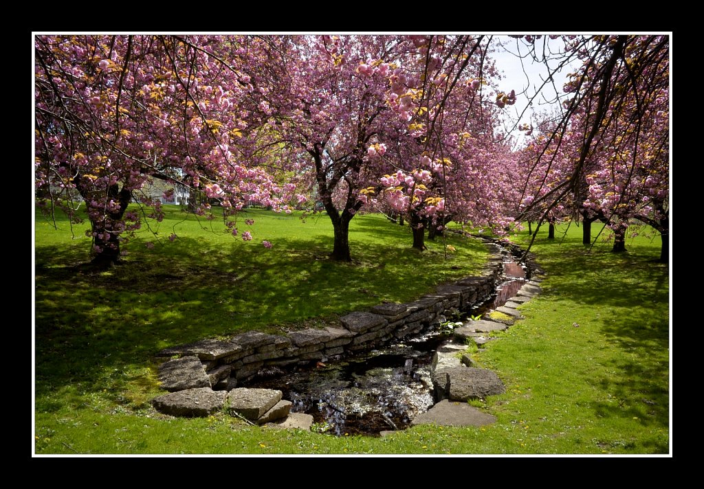 Hurd Park