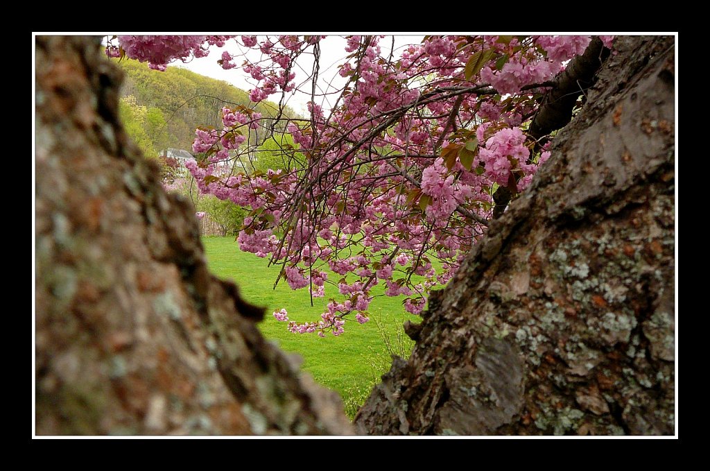 Hurd Park