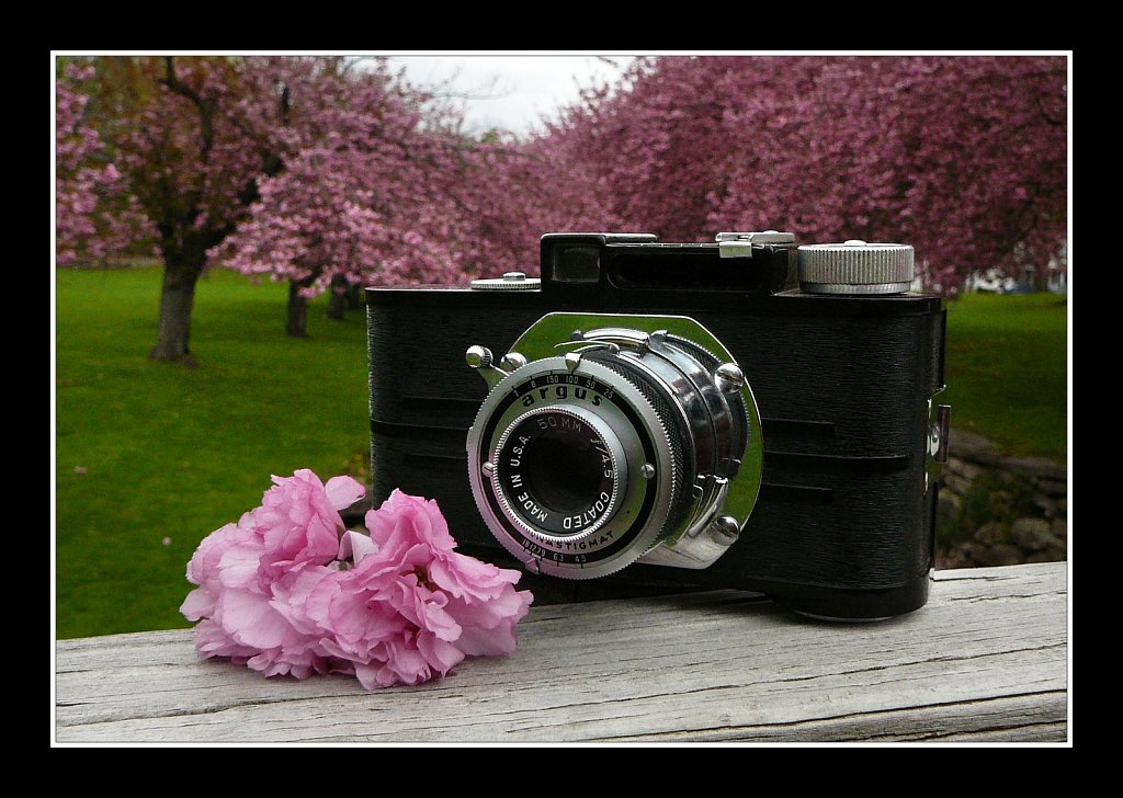 Argus A2B