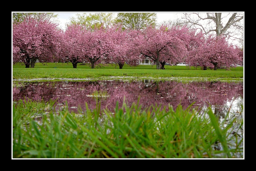 Hurd Park