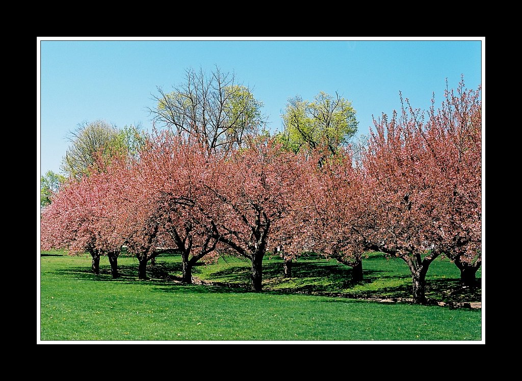 Hurd Park
