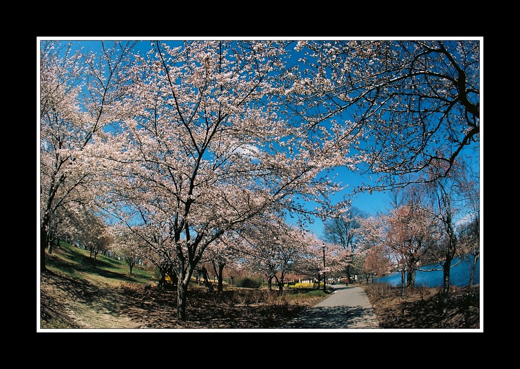 Branch Brook Park