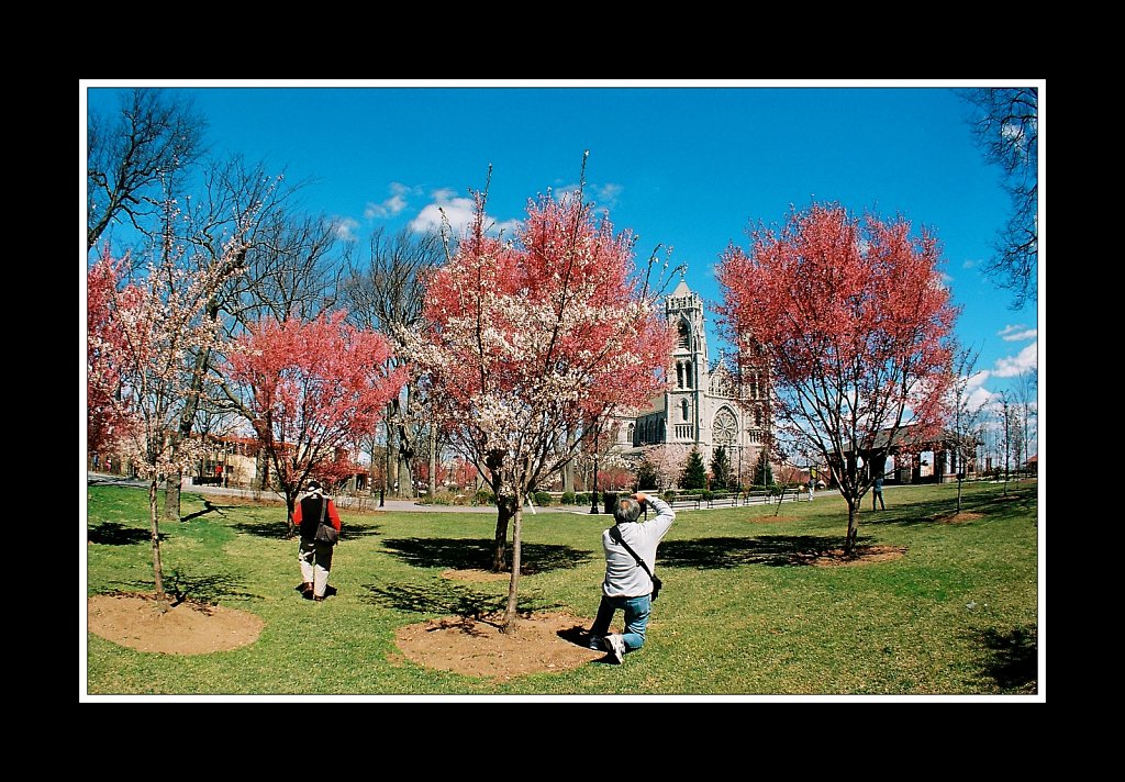 Branch Brook Park